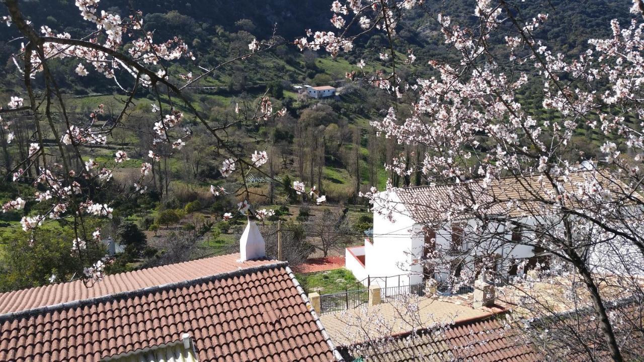 Benamahoma Rural公寓 外观 照片